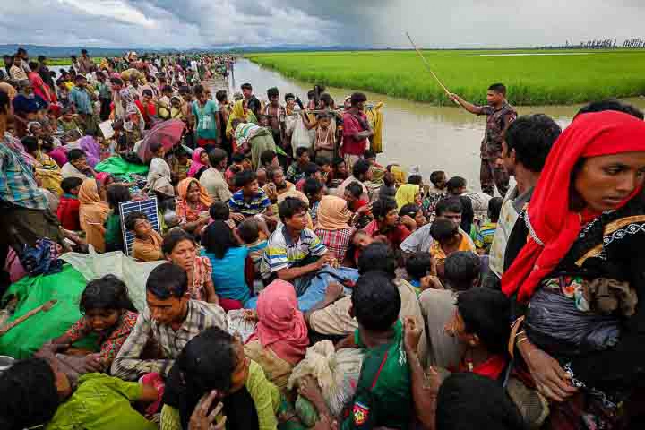Plight of Rohingya refugee